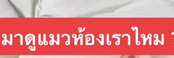ZT1 banner