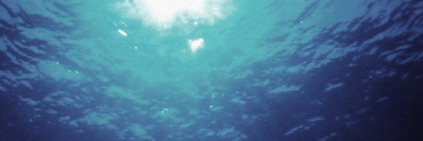 maruco_90's profile banner image