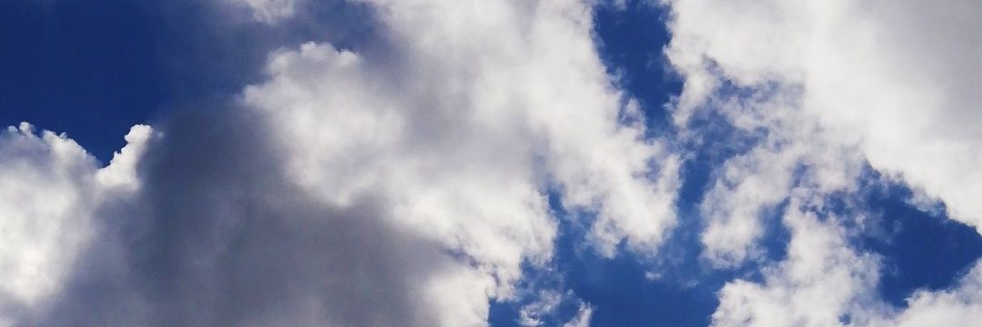 xpareidolia's profile banner image