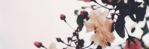 salome_rb's profile banner image