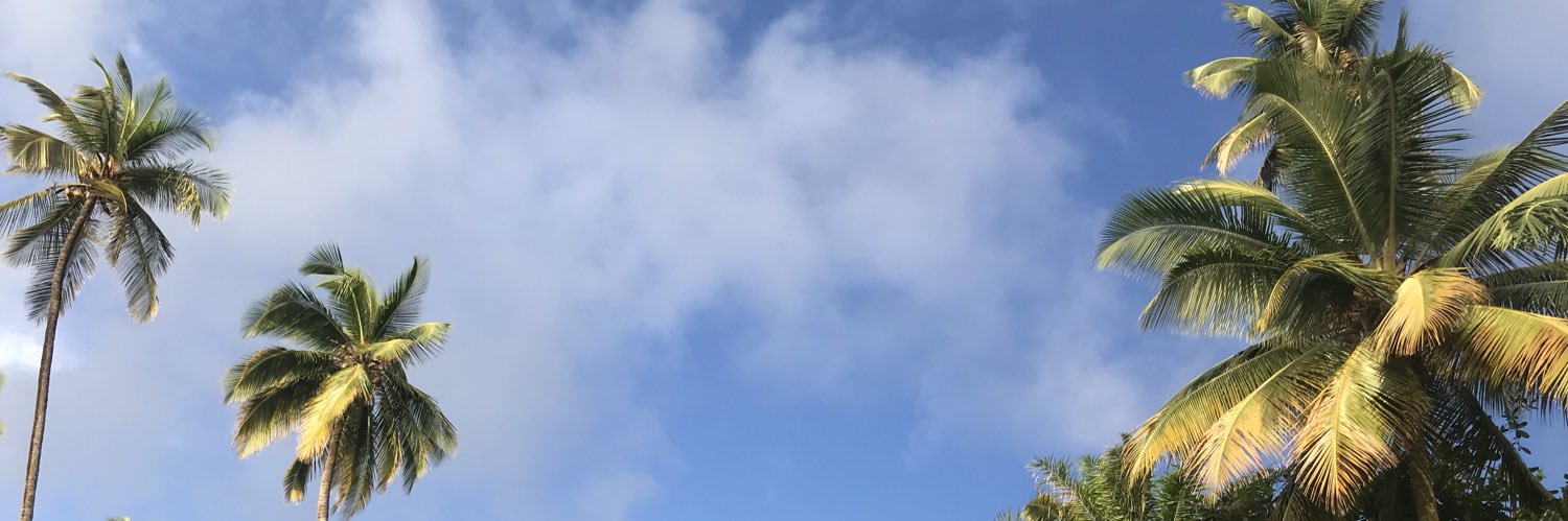 mvballotta_'s profile banner image