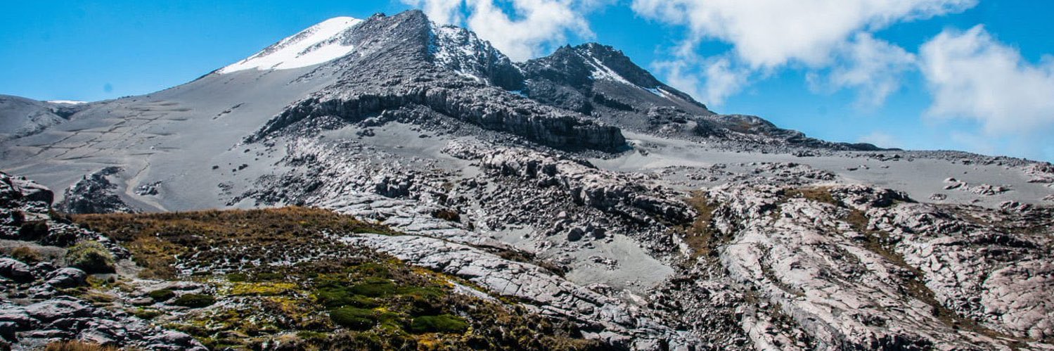 Alejandro Forigua banner