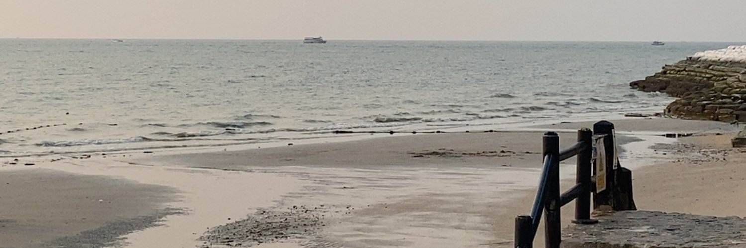 ⊹ ซานา ‧⁺◟ banner