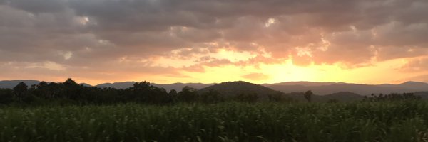 macarena_aa Profile Banner