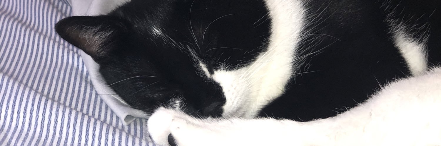 beccaspendley's profile banner image