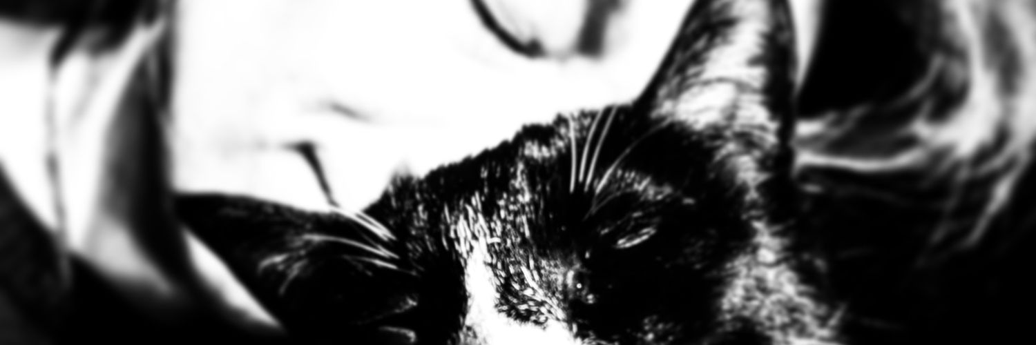 danamolina's profile banner image