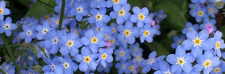 dafrec_28's profile banner image
