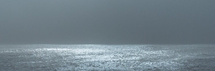 Maja Elversøe banner