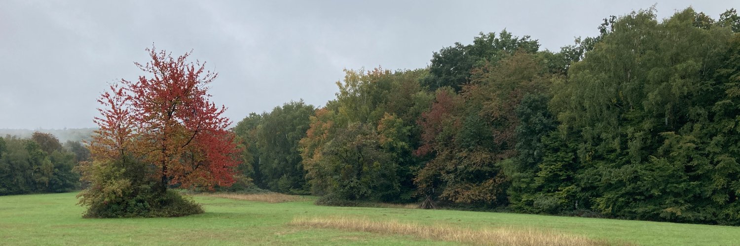 Bernhard Suchy banner