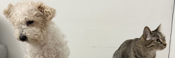 ny_mando Profile Banner