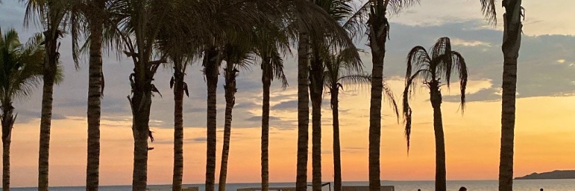 Dana_Contla's profile banner image