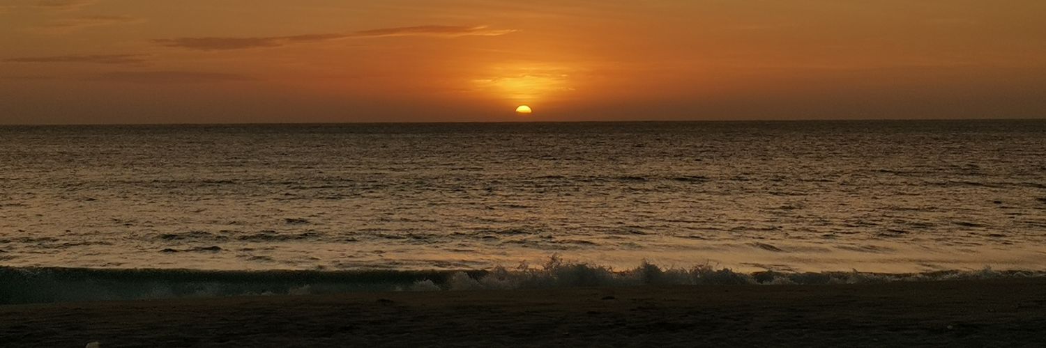 discreet chub banner