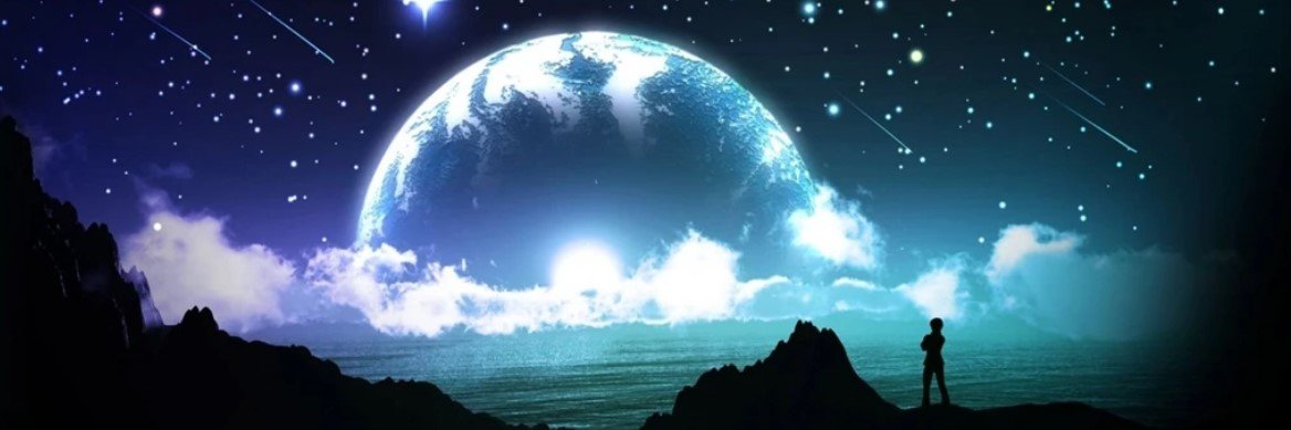 PulseDogElon 🐶 banner