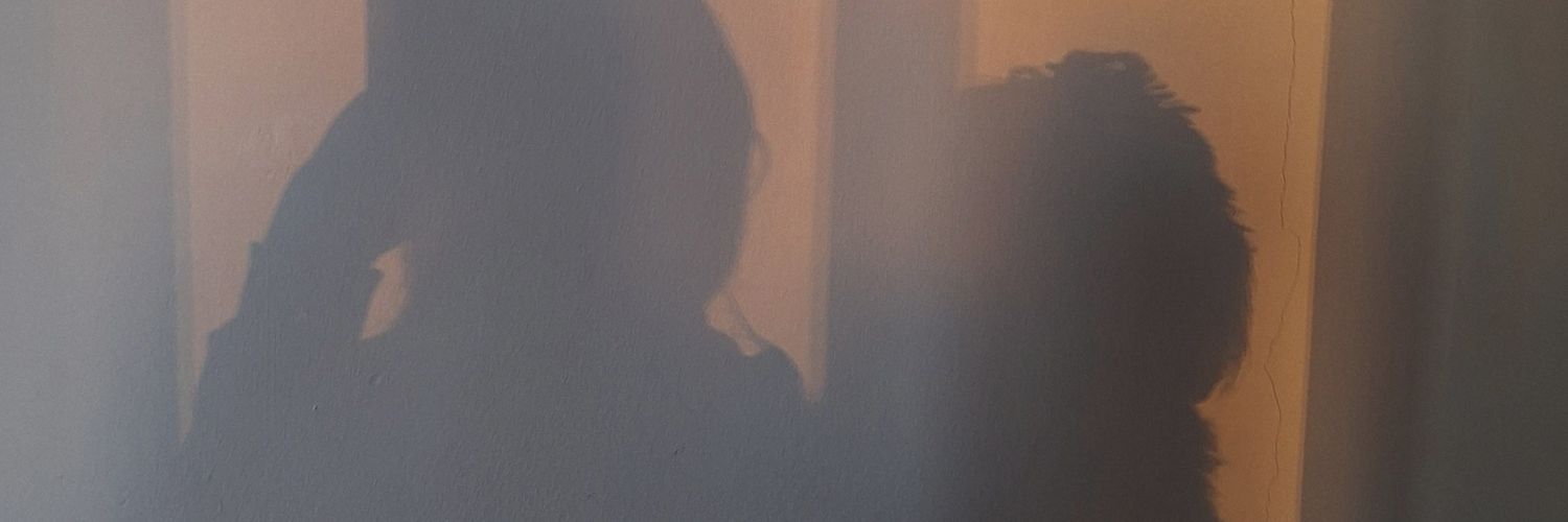 valeponc's profile banner image