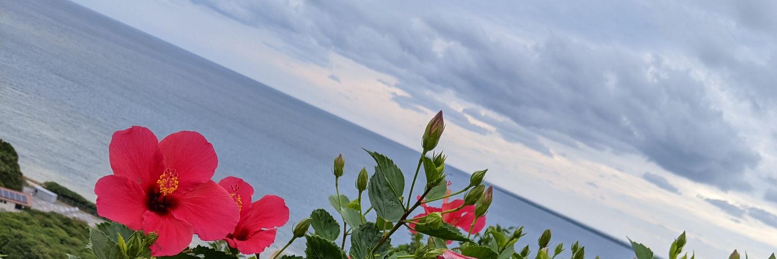 rinrin__7110's profile banner image