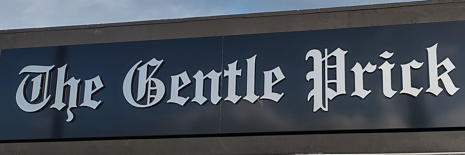 Beardie_Viking banner