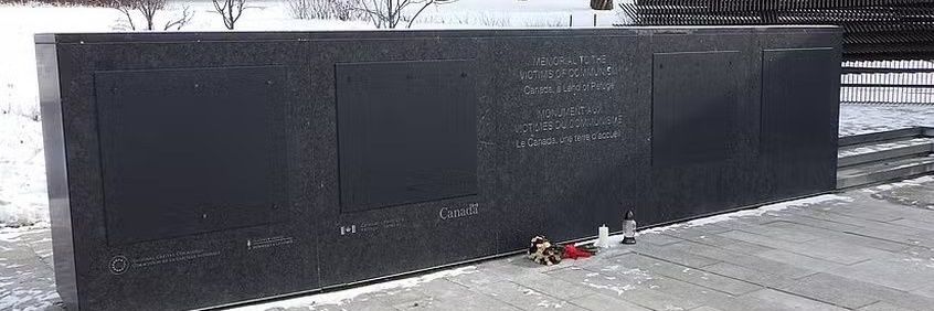 Thinky and the Brain banner