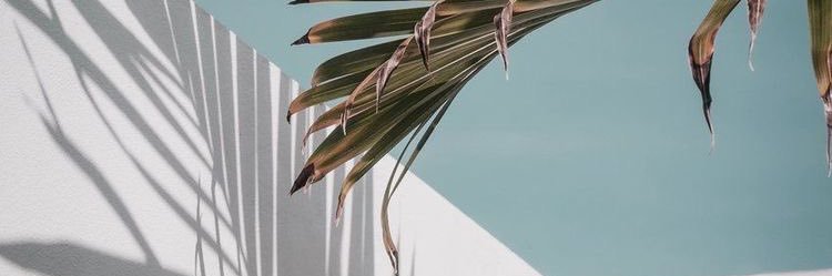 orianaa28's profile banner image