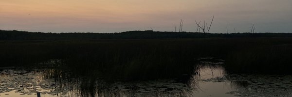 Nanar0317 Profile Banner