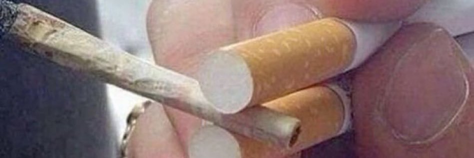 annanarchist's profile banner image