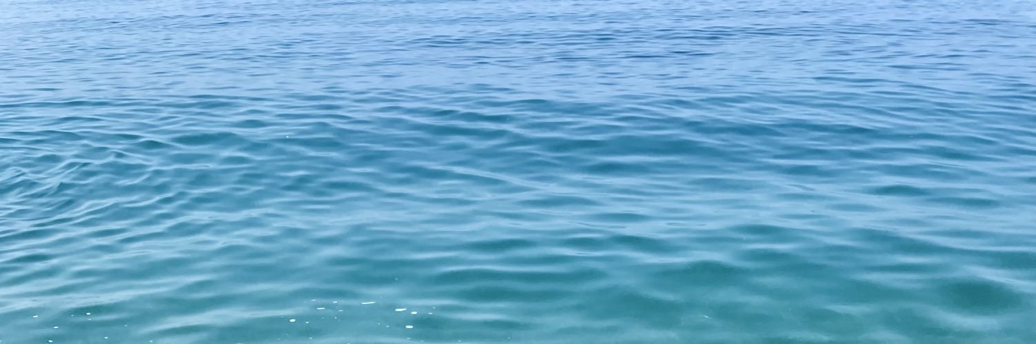 ZippyGaby's profile banner image