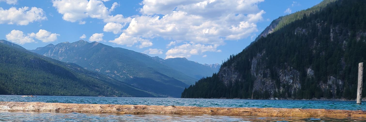 amandapanda.lens banner