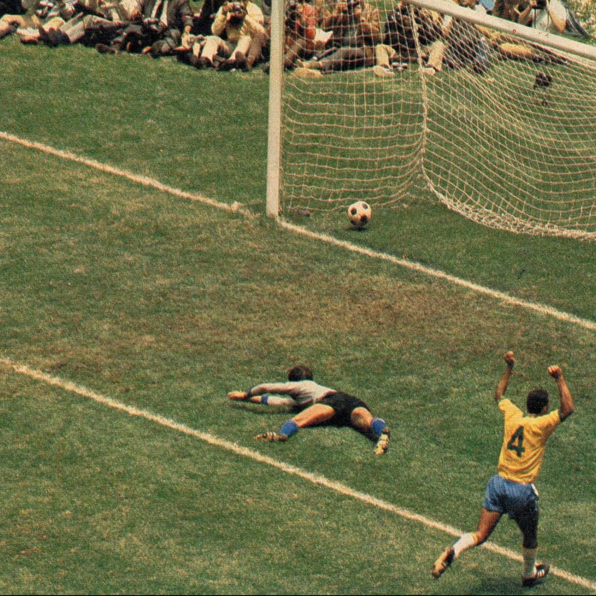 Shane Mulhall banner