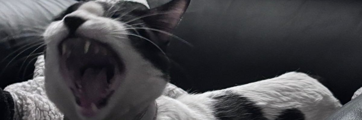 fernandavxn's profile banner image