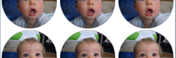 EvergreenBody Profile Banner