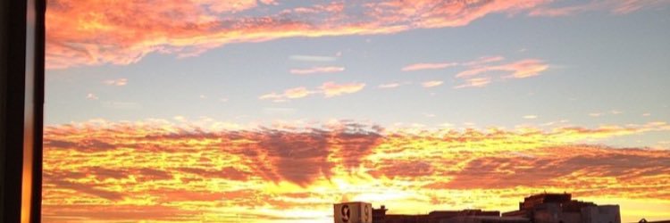 _rylee_jean_'s profile banner image