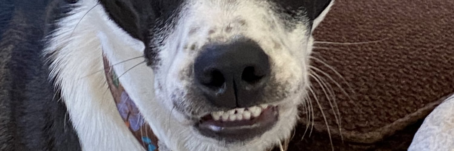 jackander97's profile banner image