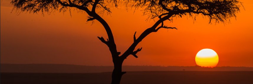 juanfbravo's profile banner image