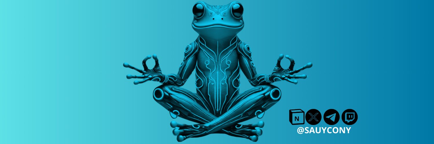 Sauycony banner