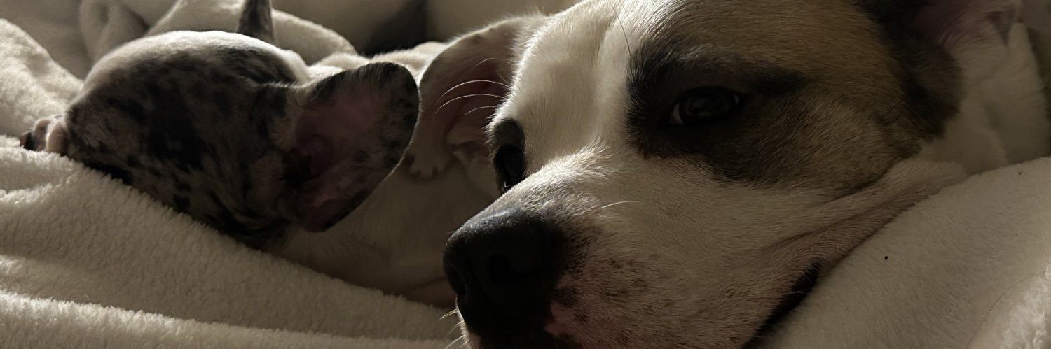 emilylwinstead's profile banner image