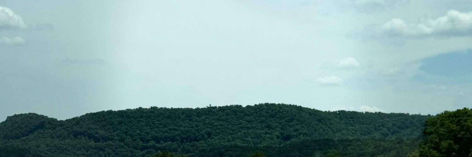 SteveHitman73's profile banner image