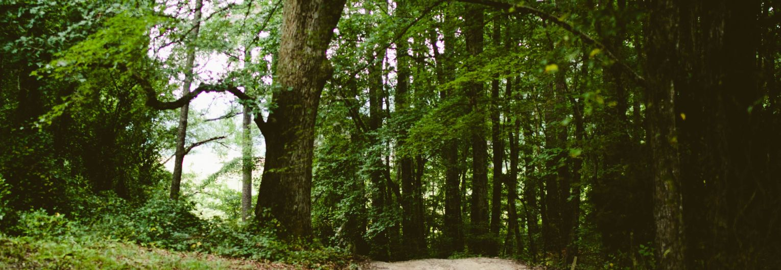 JPrudeau's profile banner image