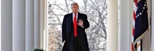 MAGA Meme Queen's banner