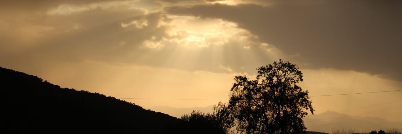 _serenad's profile banner image