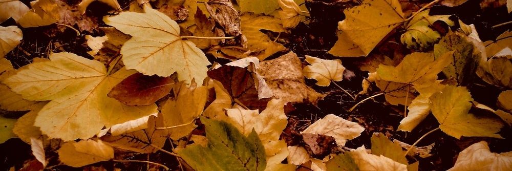 d4ktr's profile banner image