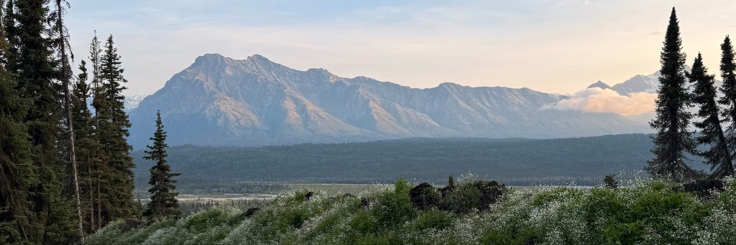 annavolenec's profile banner image