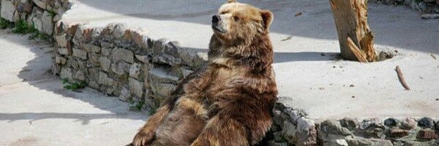 Heisman Winner Diego Pavia banner