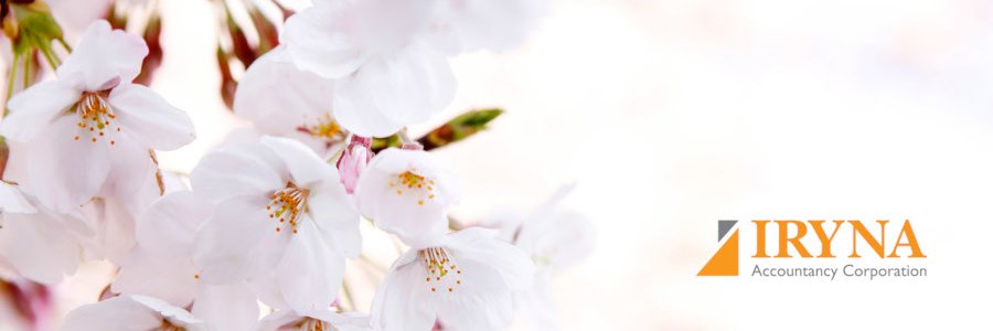 IrynaCPA's profile banner image