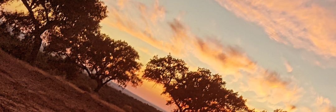 98_edc's profile banner image