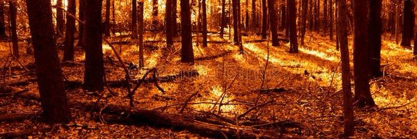 soyboy86 Profile Banner