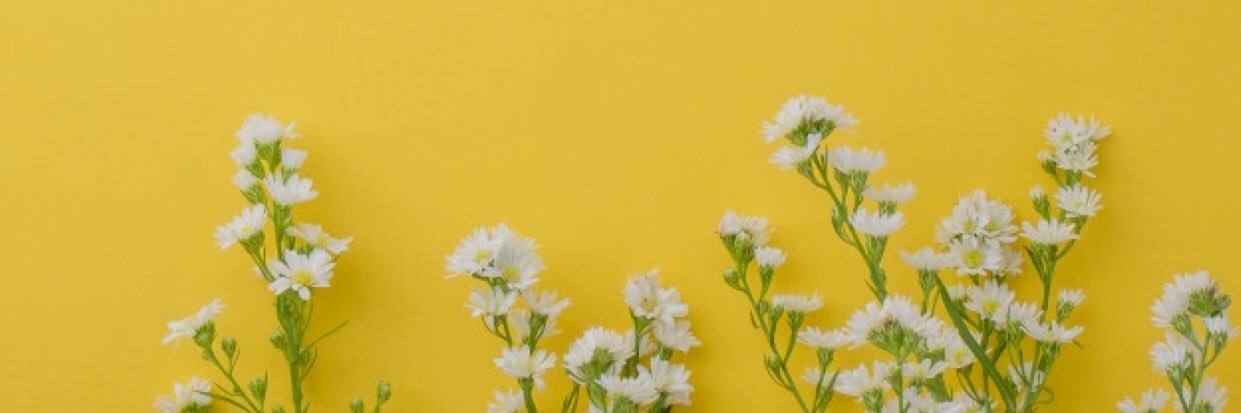 bay1ee's profile banner image