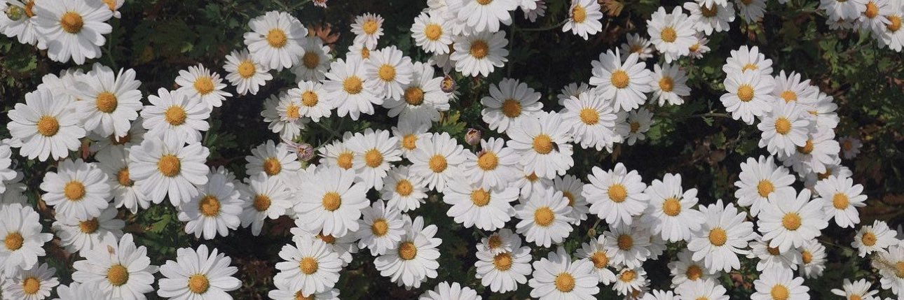 NNw1995's profile banner image