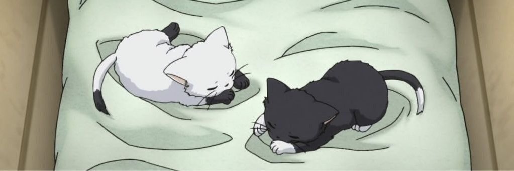 Hxllxws's profile banner image
