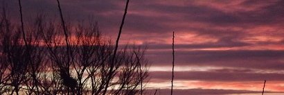 Maïca Fabi 🆙🔻 ☮️🌿 banner