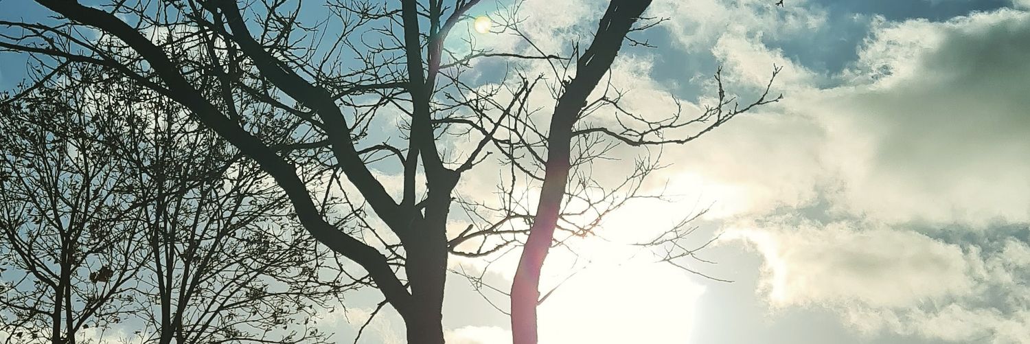 Vicdank66's profile banner image