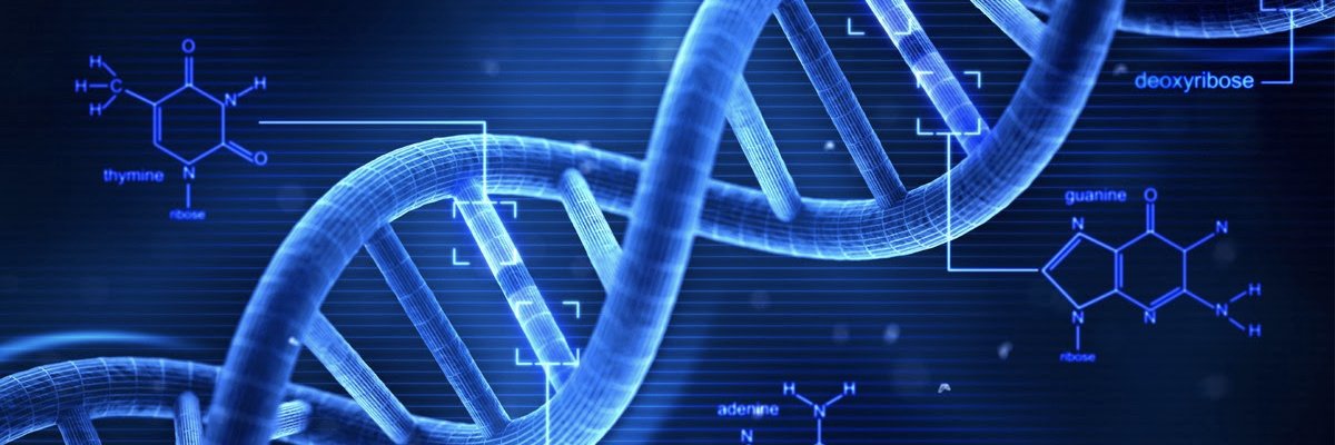 Biomedical Ethics Research Group banner